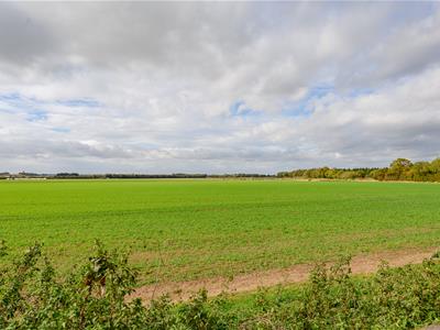 Picture 31